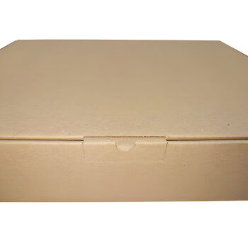 Karton DHL Kleinpaket Maxibrief 350 x 250 x 80 mm braun